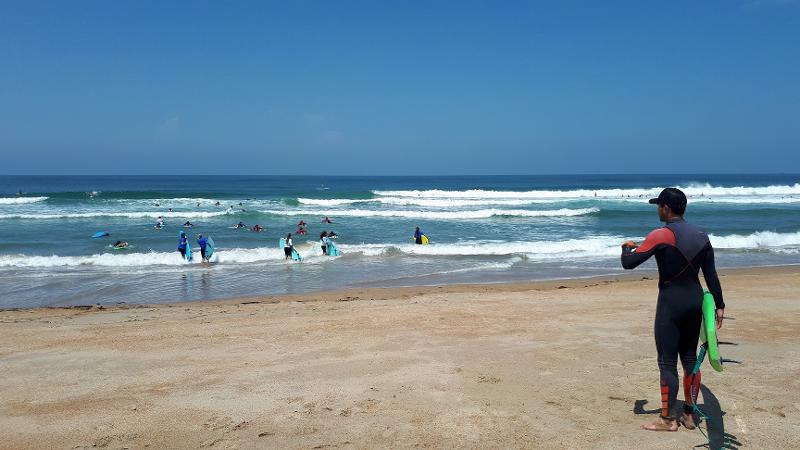 Instrutor de surf a dar indicações aos participantes do surfcamp portugal sagres que estão a apanhar as ondas no mar
