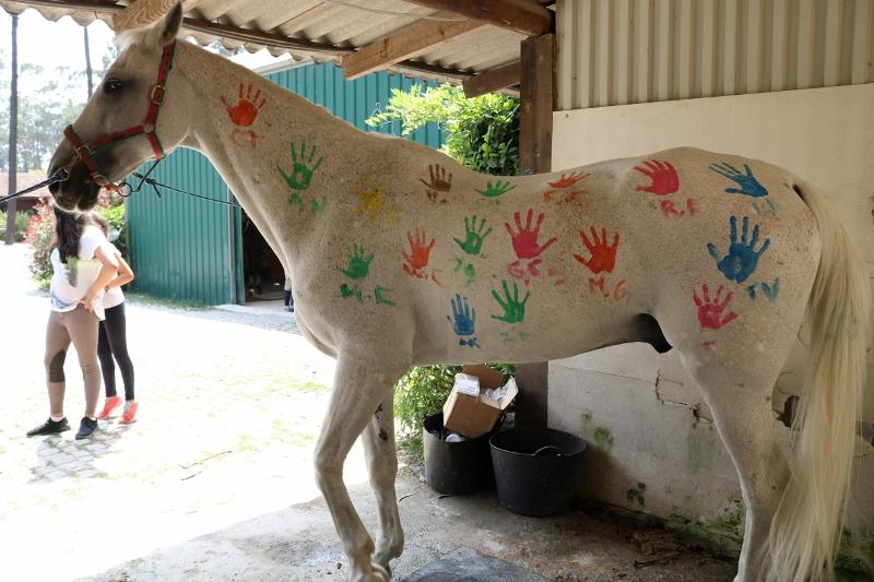 Cavalo com as marcas das mãos das crianças feitas pelas crianças na atividade criativa do campo de férias Norte