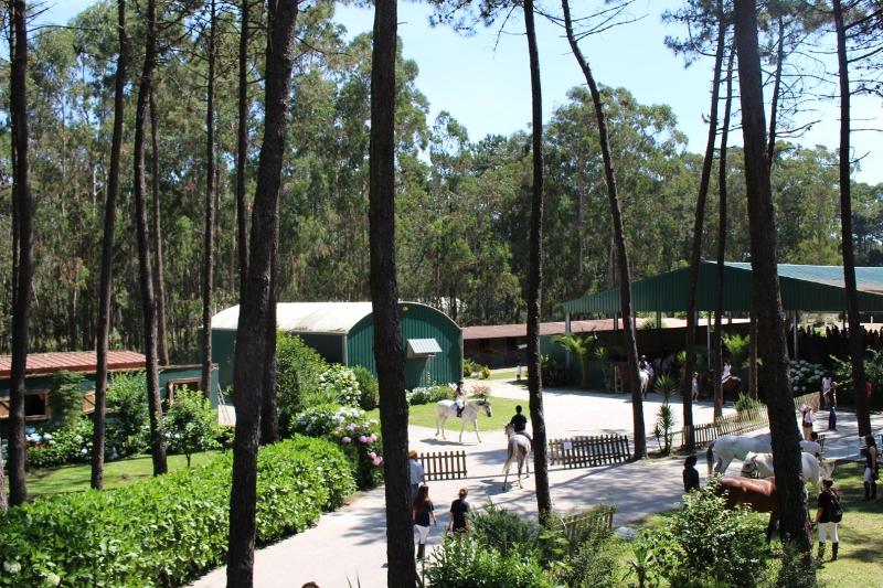 Vista do jardim para as instalações esquestres do campo de férias de equitação