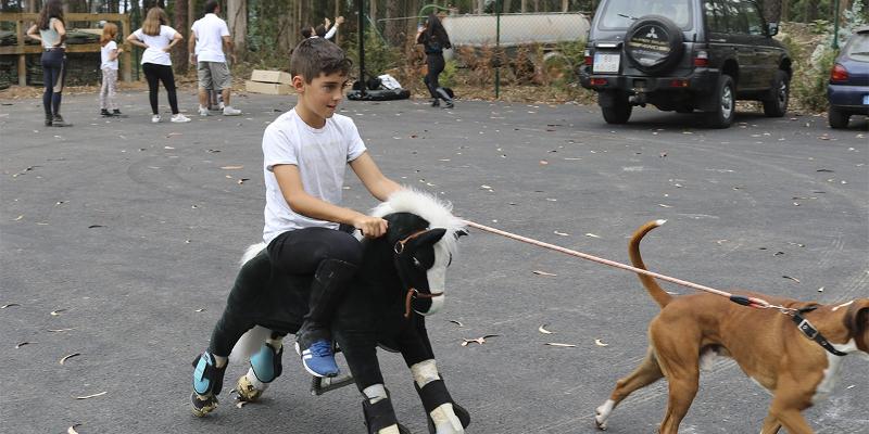 Menino montado num cavalo de brincar com patins enquanto passeia um cão com uma trela no campo de férias de equitação