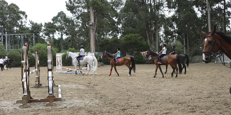 Diferença entre Andar a Cavalo e Montar Cavalo :: Dressage Arte Equestre