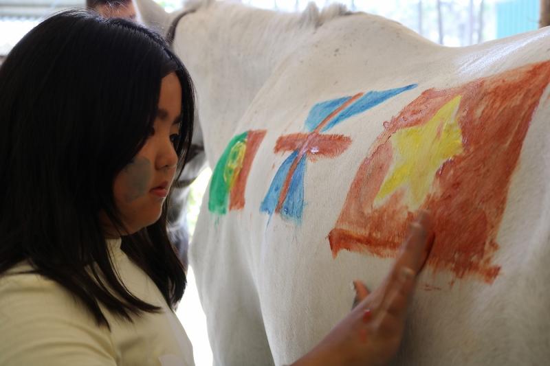 Criança a pintar o cavalo com a bandeira de Portugal e da China durante o campo de férias internacional de equitação