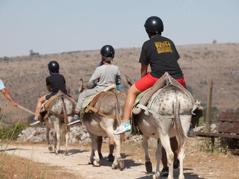 Crianças a fazer passeio de burro na montanha no campo de férias Leiria