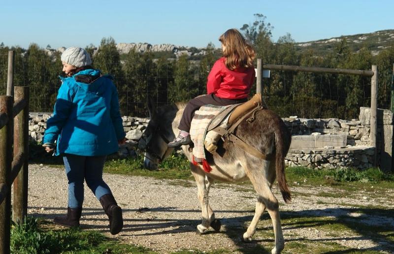 Menina a dar uma volta de burro na colónia de férias infantil