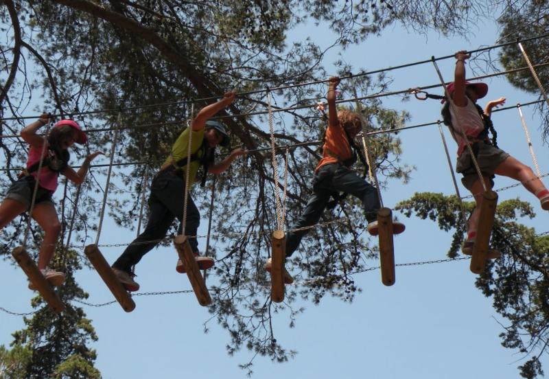 Crianças a fazer percurso de arborismo no campo de férias Lisboa