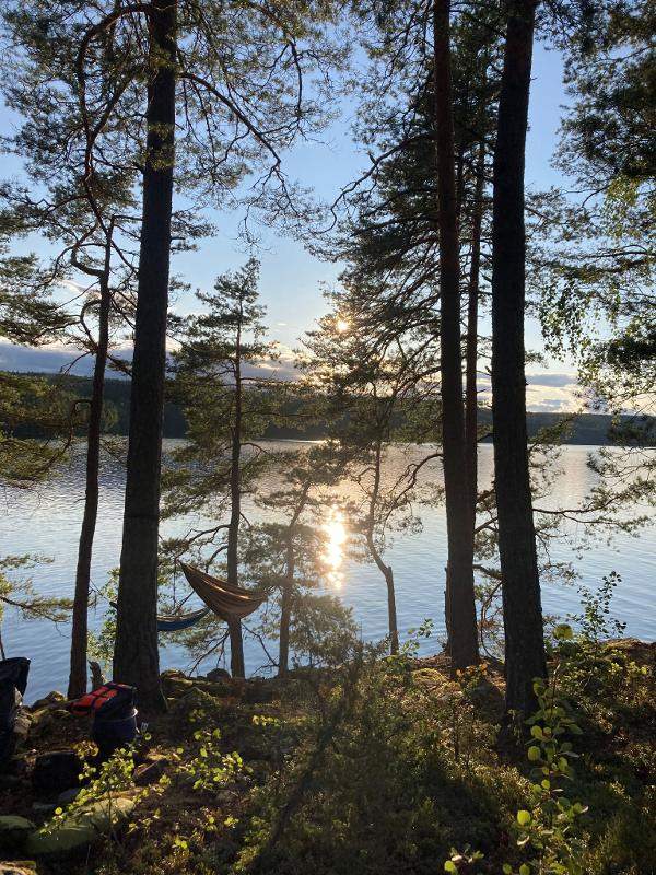 paisagem com árvores e cama de rede junto ao lago no campo de férias da Suécia