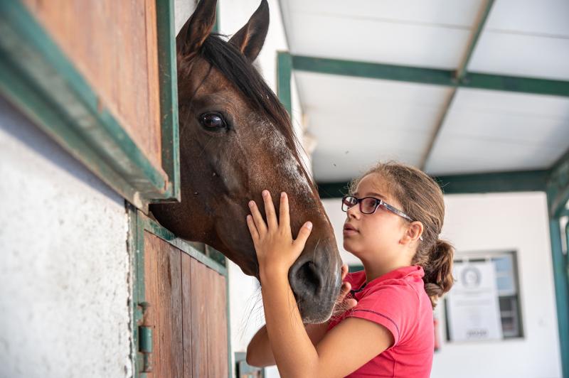 menina em momento ternurento com o cavalo no campo de férias Lisboa