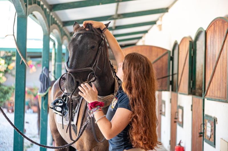 menina a fazer festinhas no cavalo no campo de férias Lisboa