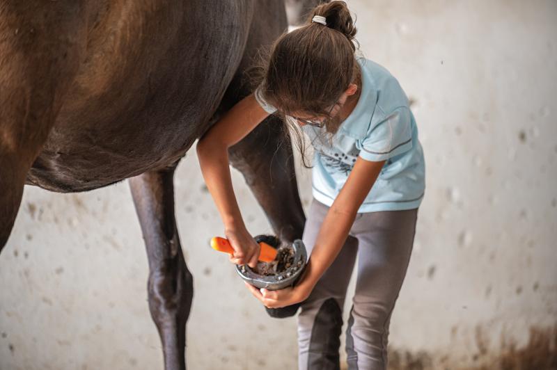 rapariga a limpar o cavalo no campo de férias Lisboa
