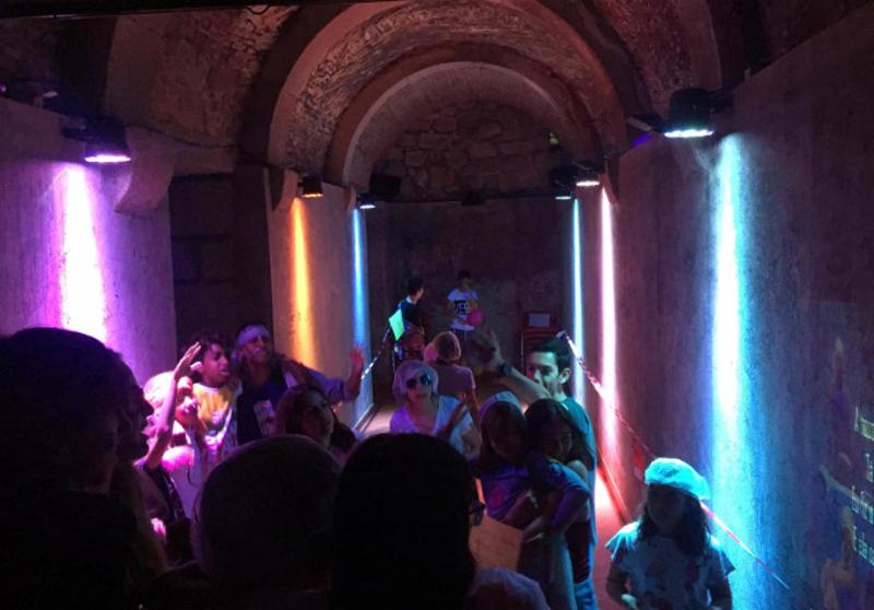 Vários participantes numa festa noturna com luzes coloridas