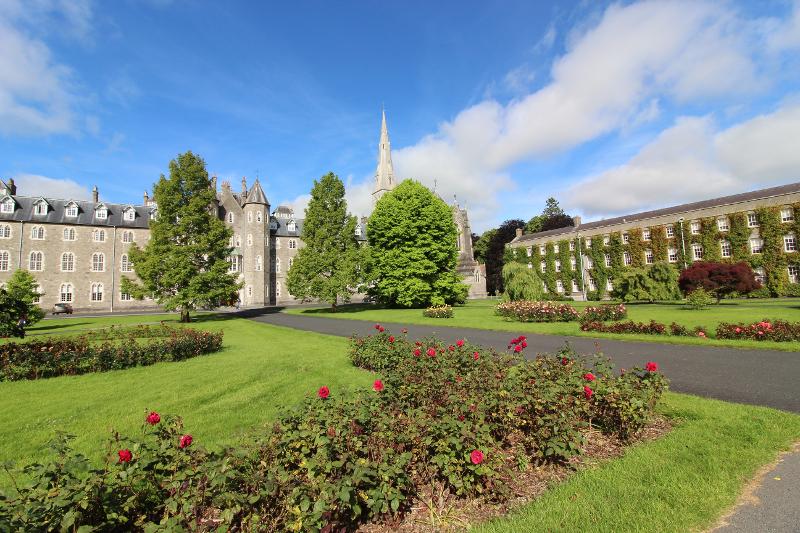 jardim com flores vermelhas na universidade do curso de ingles em dublin