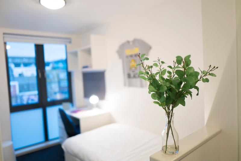 Quarto moderno com vista para fora, durante o teu curso de ingles para jovens