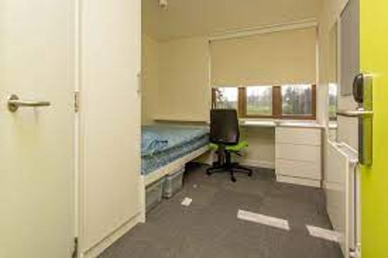 Quarto individual simples com cama, secretária e cadeira, oferecendo conforto para estudantes de um curso de língua inglesa.