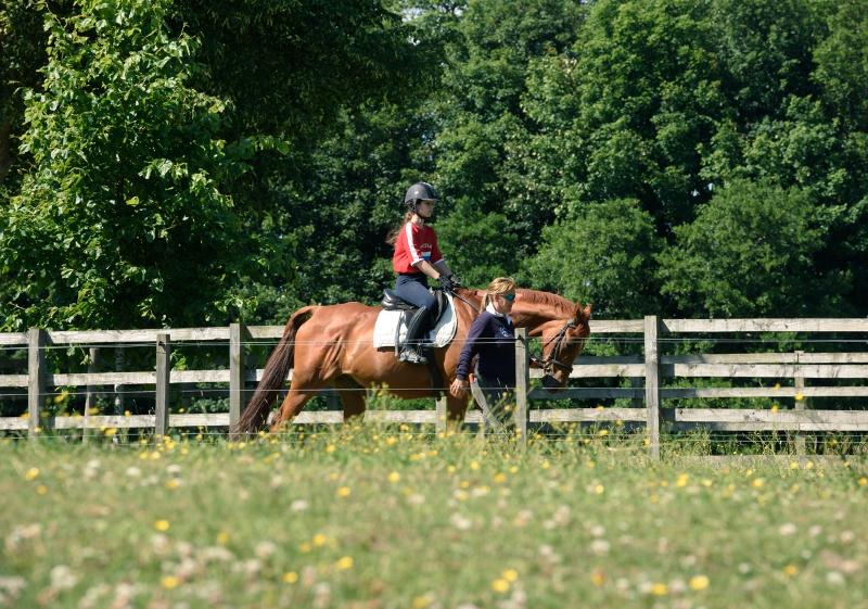 passeio de cavalo no curso de línguas juvigo na escócia