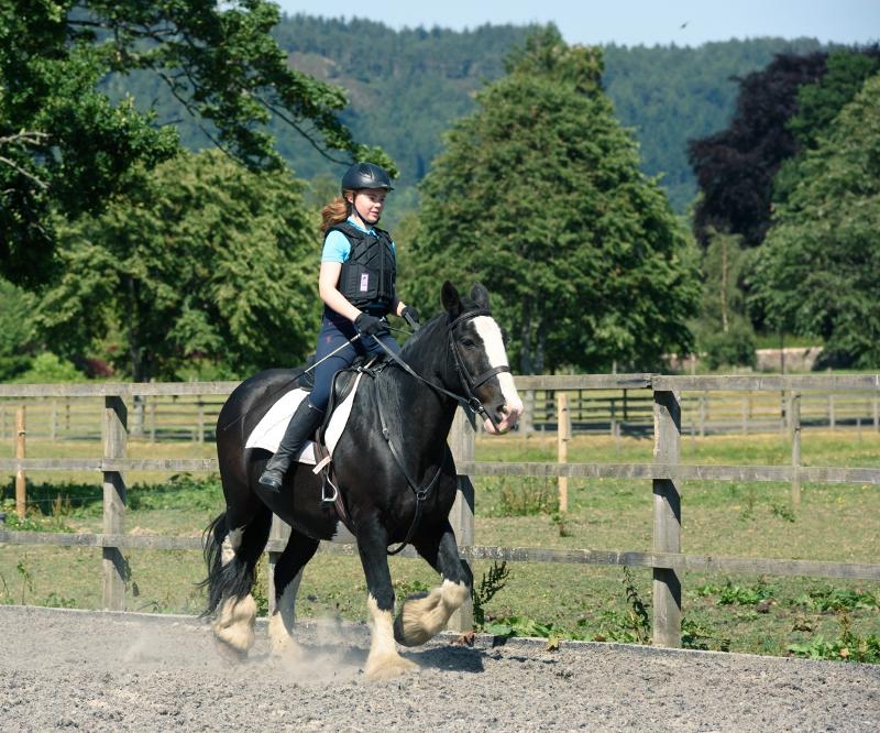 menina e cavalo preto no curso de linguas juvigo na escocia