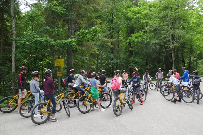 Grupo de participantes a andar de bicicleta pela floresta, explorando a natureza durante o seu curso de inglês na alemanha.