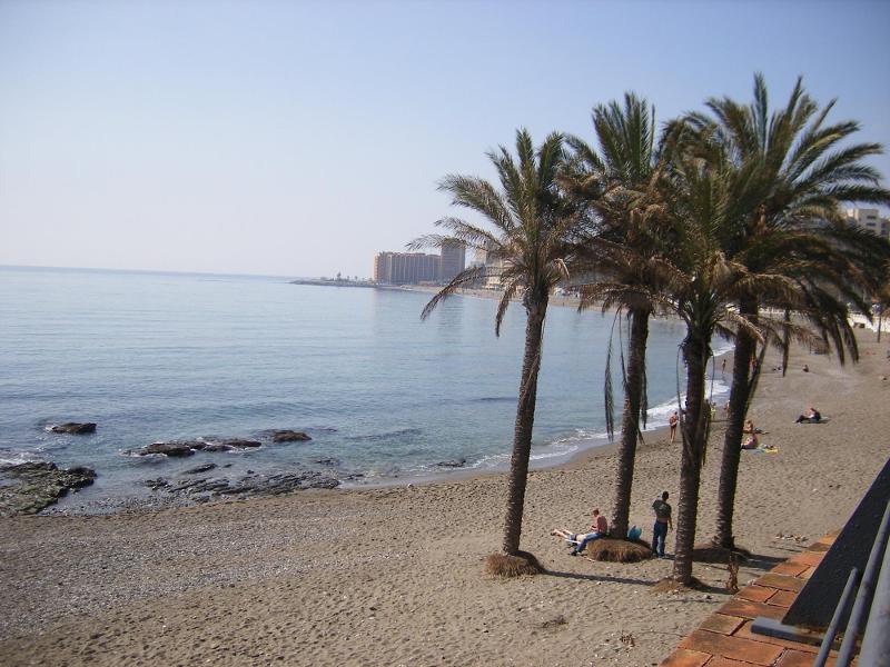 Praia tranquila com palmeiras e mar calmo ao fundo, um ótimo lugar para relaxar durante um curso de lingua espanhola.