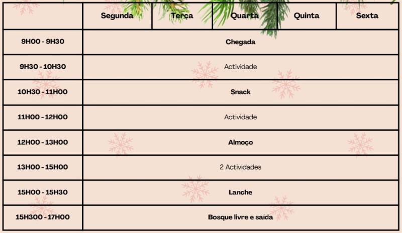 Programa detalhado do campo de férias de Natal em Cascais