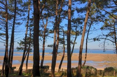 Curso de Francês em Arcachon - Arcachon