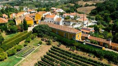 Campos de férias Vendas Novas 2025