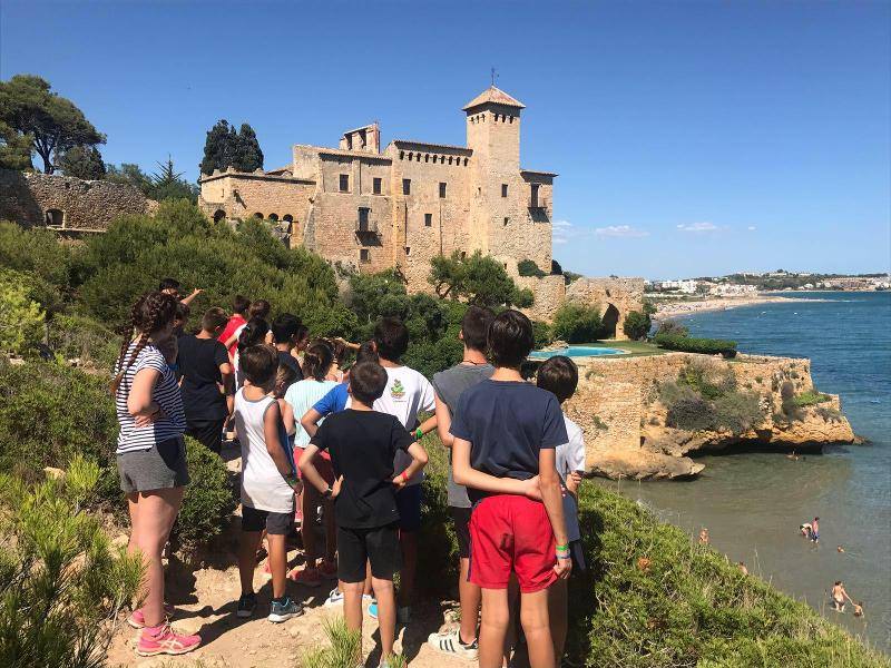 Cursos de Verão